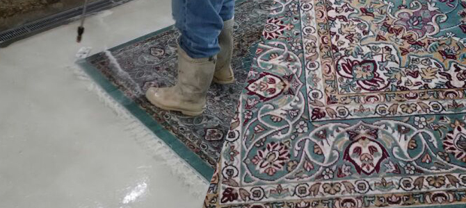oriental-rug-pet-stains-removal